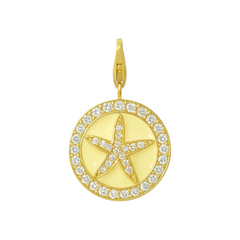 Disc Charm Star Fish